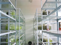 藻類生(shēng)産車(chē)間(jiān)