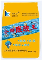 分(fēn)解底改王