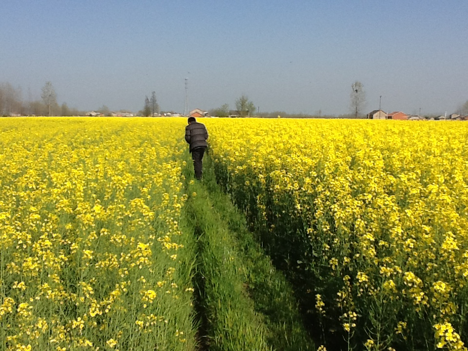 90YPKBCG9F3VC%F%2_41R01